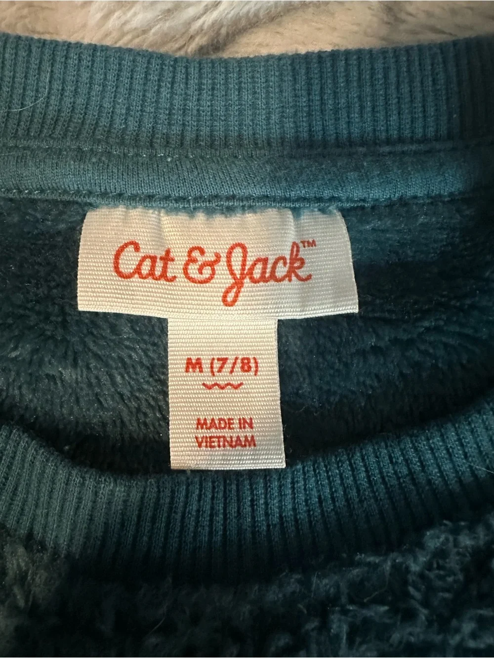 Cat & Jack Plush Jogger Pants in Teal Blue